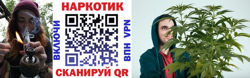 Сколько стоит Владимир Псилоцибиновые грибы  ГАШ  Канабис  COCAIN 