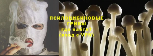 круглые Вяземский