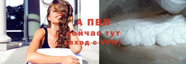 сатива Волоколамск
