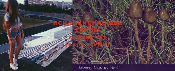 хмурый Бородино