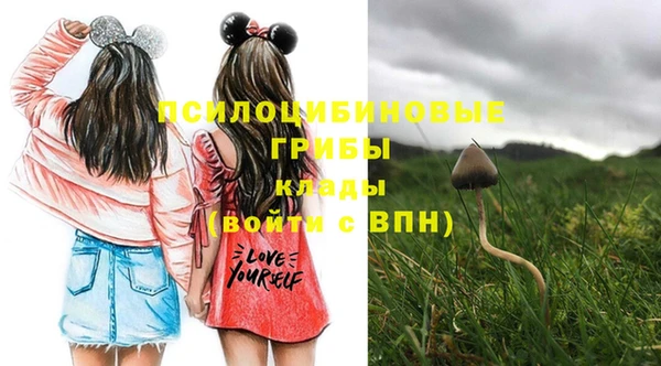 эйфоретик Волосово