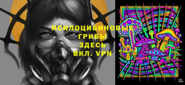 хмурый Бронницы