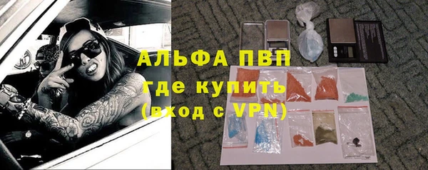 сатива Волоколамск
