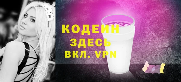 хмурый Бородино
