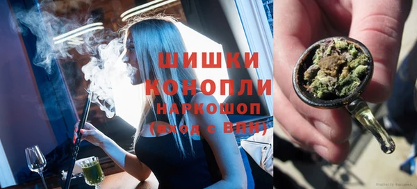 сатива Волоколамск