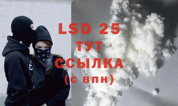 крисы Володарск