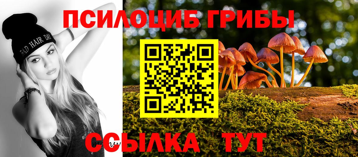 Владимир  Псилоцибиновые грибы мухоморы  Вход с VPN  Галлюциногенные грибы Psilocybine cubensis 