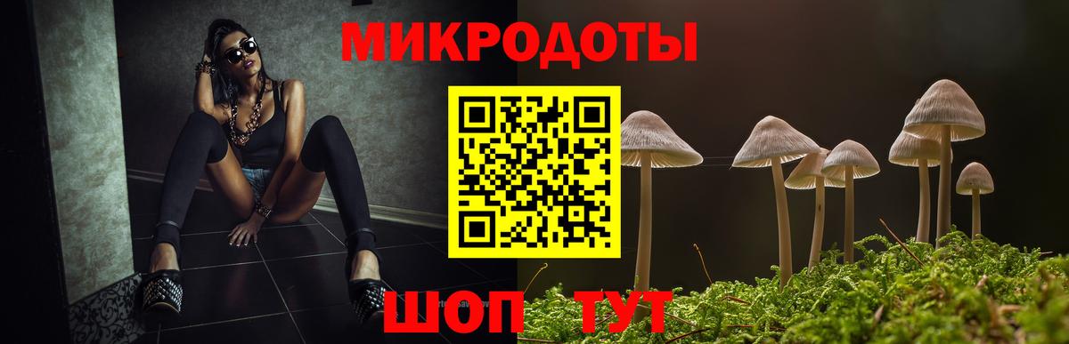 Галлюциногенные грибы Psilocybe  Владимир 