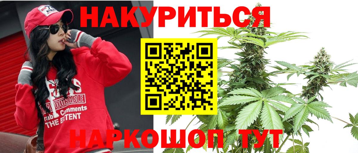 Каннабис OG Kush Владимир